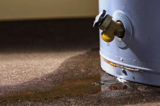 Best Residential water damage restoration  in Union Hill Novelty Hill, WA