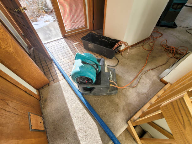 Reliable Union Hill Novelty Hill, WA Water damage restoration Solutions