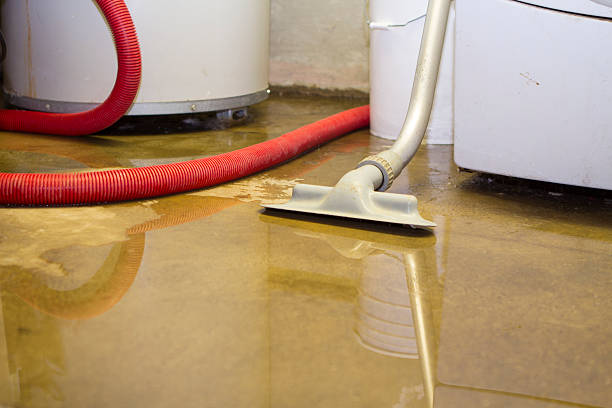 Best Water damage cleanup near me  in Union Hill Novelty Hill, WA