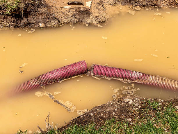 Best Local water damage restoration  in Union Hill Novelty Hill, WA