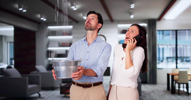  Union Hill Novelty Hill, WA Water damage restoration Pros